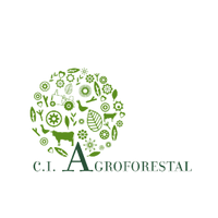 logo3.png